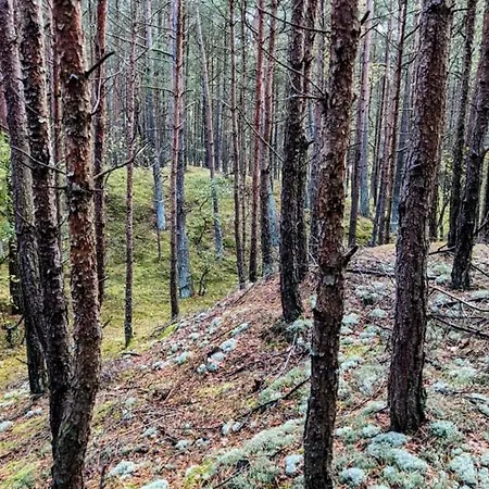 דירה 104/29 Sunset