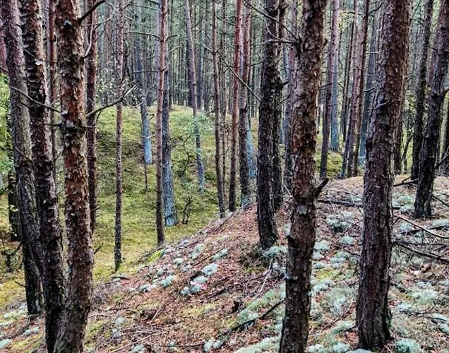 Διαμέρισμα 104/29 Sunset